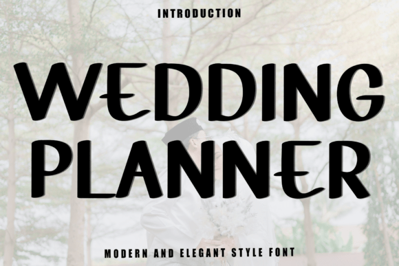 Wedding Planer: Elevating Festive Design with Whimsical Typography
